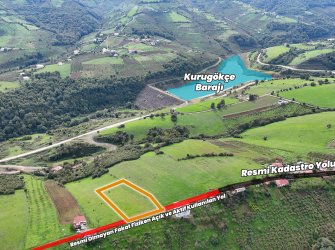 GÖL VE DOĞA MANZARALI MÜSTAKİL TAPULU 3110M TARLA